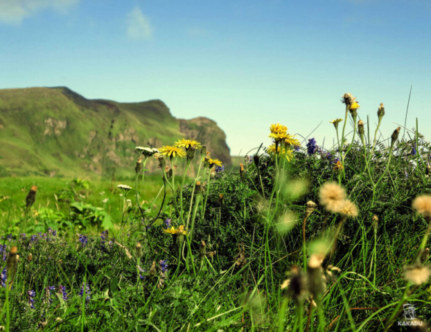 Islandia