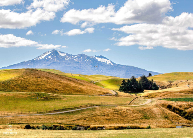 Wyborny krajobraz na trasie Wellington - Tongariro