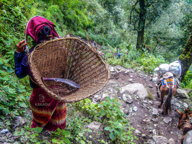 Nepal