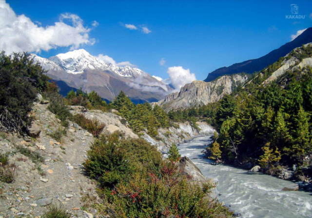 Nepal