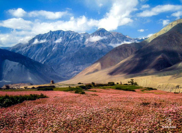 Nepal