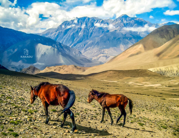 Nepal