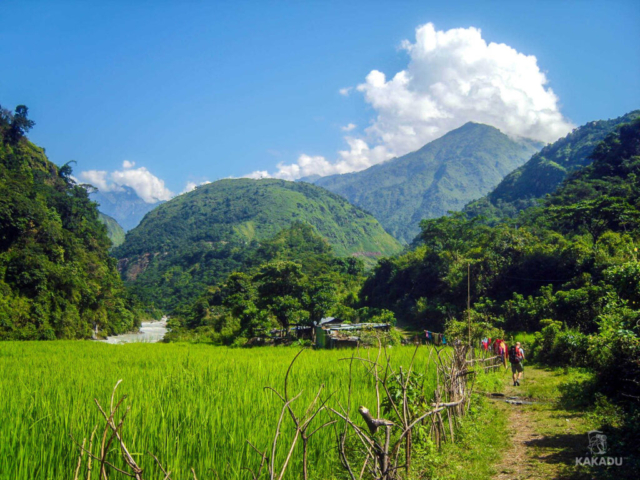 Nepal